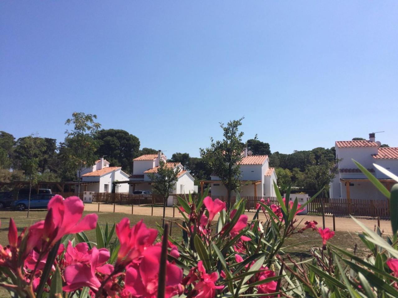 Villas Empuries, Garden & Private Pool サン・マルティー・ダンプリアス エクステリア 写真